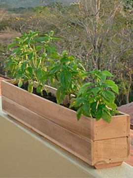 6" Teak Window Planter Box